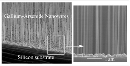 Illustration: Ultra-clean gallium-arsenid nanowires grown on a silicon substrate gives hope of developing cheap and very effective solar cells.