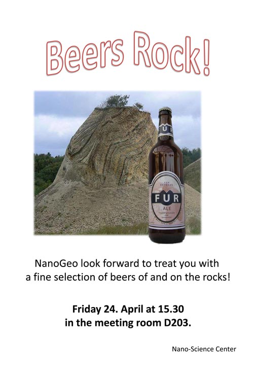 FridayBeer poster from the NanoGeo Group